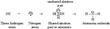 Carbon and its Compounds Class 10 Notes Science Chapter 4